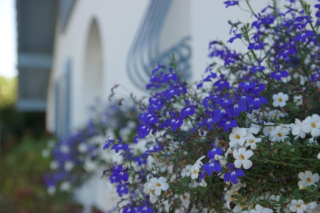 Chambre D'Hotes Etchebri Anglet Exterior foto